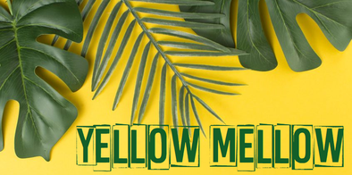 Mood Board : Le Yellow Mellow du mois de Mai.