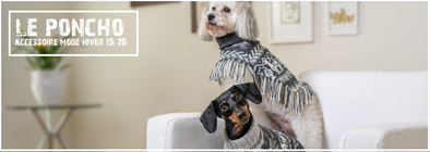 Tendance Mode : Le Poncho Automne Hiver 2019 a du style !