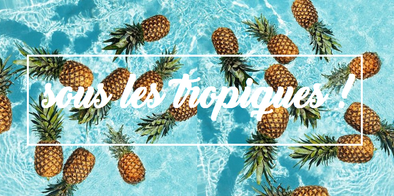 Mi-Avril: C'est sous les Tropiques que les chiens se donnent rendez-vous, chez JMD!