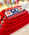 VACANCES DE SKI