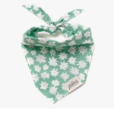 EDELWEIS VERT