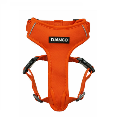 LE HARNAIS DJANGO ORANGE