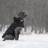 CRANS MONTANA BLACK