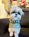 LE PONCHO VERT OLIVE + ECOSSAIS