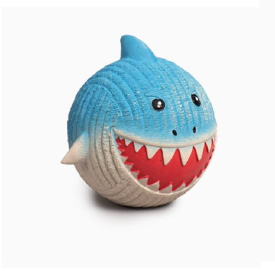 FINN LE REQUIN