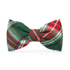 LE COLLIER + BOW TIE HOLLY JOLY