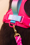 LE HARNAIS SOUPLE RAINBOW PINK
