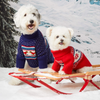VACANCES DE SKI