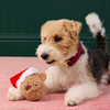 SANTA BABY L'OURSON