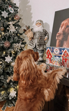 LE CALENDRIER DE L'AVENT SANTA PAWS