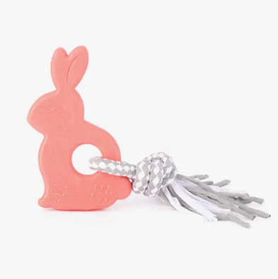 BONNIE LE LAPIN