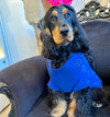 BANDANA BLEU