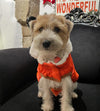 LE SUNDANCE ORANGE