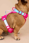 LE HARNAIS SOUPLE RAINBOW PINK