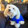 BANDANA BLEU