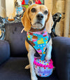 LE HAPPY BARKDAY CAKE