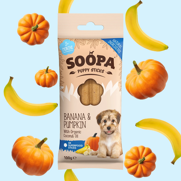 DENTAL STICKS BANANE + CITROUILLE PUPPY <br>  Soopa