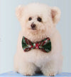 LE COLLIER + BOW TIE HOLLY JOLY