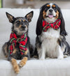LE COLLIER + BOW TIE ECOSSAIS ROUGE