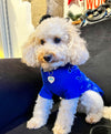 BANDANA BLEU