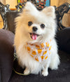 CANDY CORN