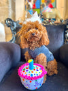 LE HAPPY BARKDAY CAKE