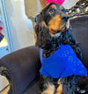BANDANA BLEU