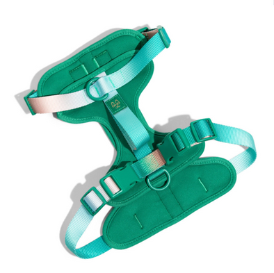 LE HARNAIS SOUPLE RAINBOW VERT