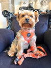 LE HARNAIS BANDANA ORANGE