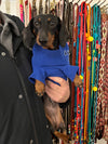 BANDANA BLEU