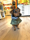 LE PONCHO VERT OLIVE + ECOSSAIS