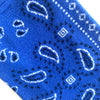 BANDANA BLEU