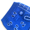 BANDANA BLEU