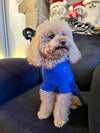 BANDANA BLEU