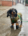 L'ANORAK KHAKI