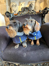 LE PONCHO MATELOT BLEU