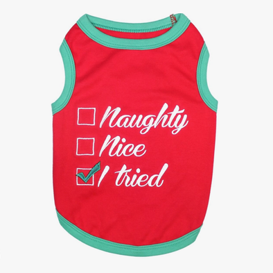 NAUGHTY, NICE, I TRIED !