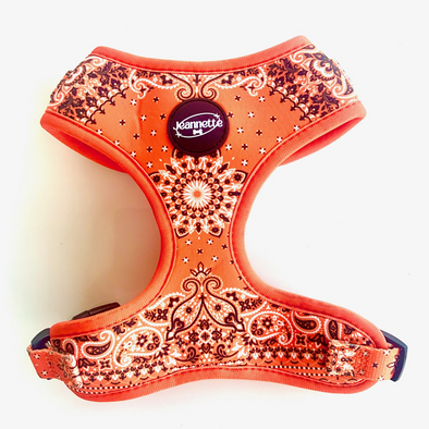 LE HARNAIS BANDANA ORANGE