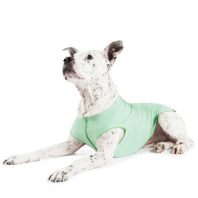 T-SHIRT ANTI-UV PISTACHE