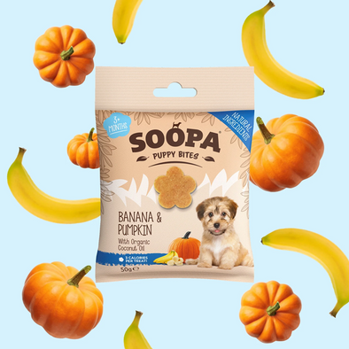 MINI BITES BANANE + CITROUILLE PUPPY <br>  Soopa