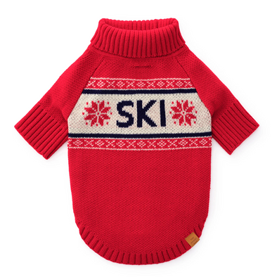 VACANCES DE SKI