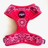 LE HARNAIS BANDANA ROUGE