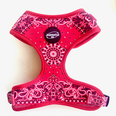 LE HARNAIS BANDANA ROUGE