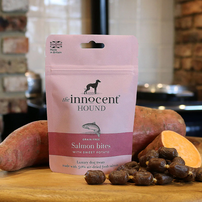 SAUMON <br> Innocent Hound