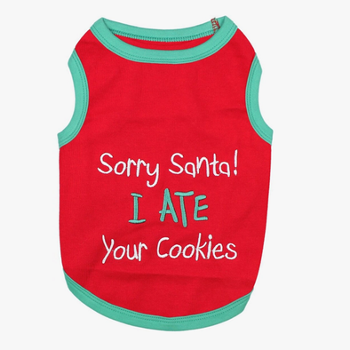 SORRY SANTA I ATE YOUR COOKIES !