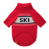 VACANCES DE SKI