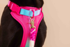 LE HARNAIS SOUPLE RAINBOW PINK