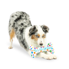 LE BONE IT'S MY BARKDAY
