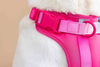 LE HARNAIS SOUPLE RAINBOW PINK