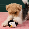 PUDDLES LE PINGOUIN